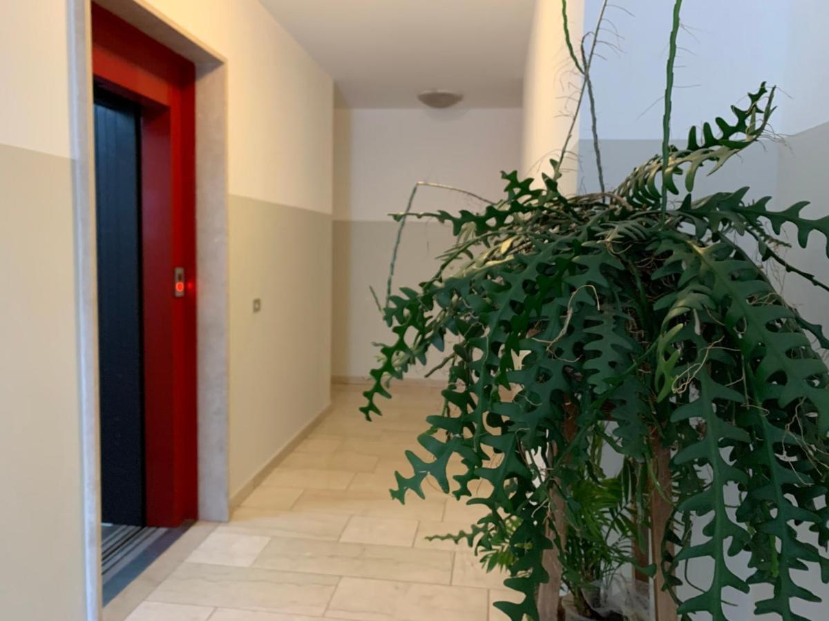 B&B Verona Business And Fun G B Rossi Friendly Εξωτερικό φωτογραφία